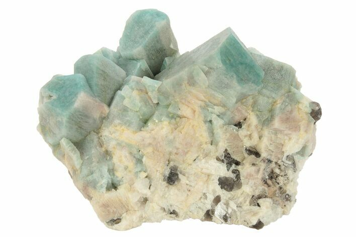 Amazonite Crystal Cluster - Lake George, Colorado #234651